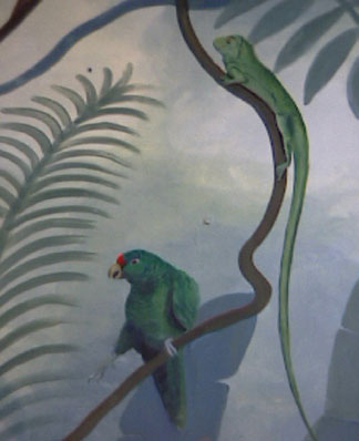 birdNliz