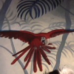 parrot