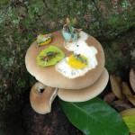 Mushroom